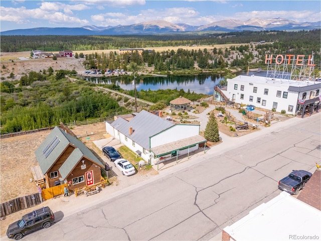 549 Front St, Fairplay, CO 80440 - photo 6