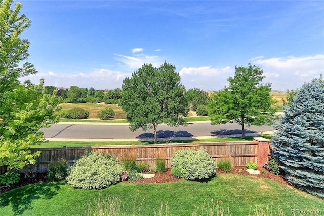 16745 Williams St, Thornton, CO 80602 - photo 19
