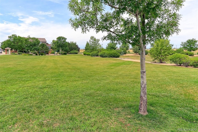 16745 Williams St, Thornton, CO 80602 - photo 43