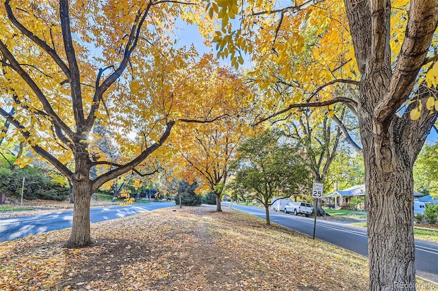 view of street