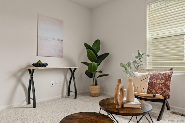 4343 S Nepal Ct, Centennial, CO 80015 - detailed view of baseboards and carpet floors