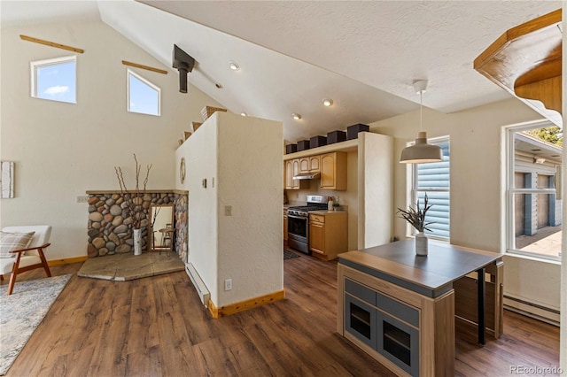 3543 Blue Mesa Dr, Divide, CO 80814 - photo 4