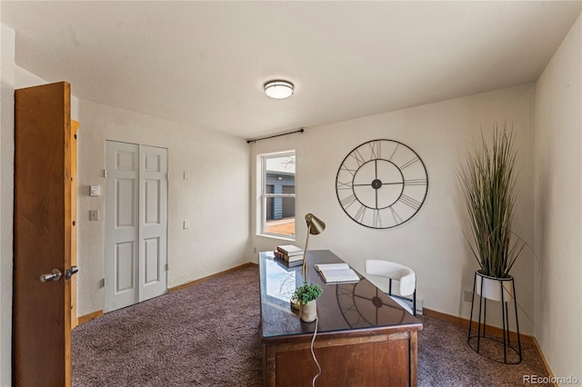3543 Blue Mesa Dr, Divide, CO 80814 - photo 21