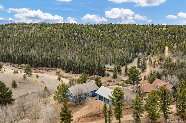 3543 Blue Mesa Dr, Divide, CO 80814 - photo 41