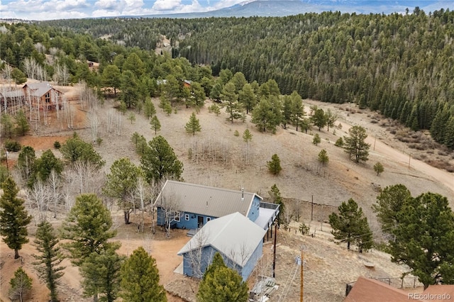 3543 Blue Mesa Dr, Divide, CO 80814 - photo 42