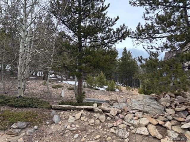 11541 Shimley Rd, Golden, CO 80403