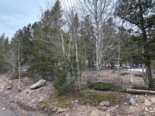 11541 Shimley Rd, Golden, CO 80403