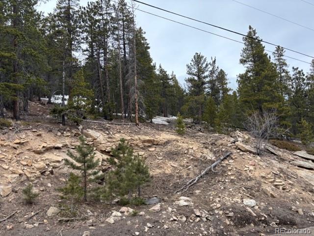 11541 Shimley Rd, Golden, CO 80403
