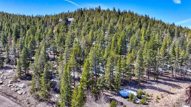 11541 Shimley Rd, Golden, CO 80403