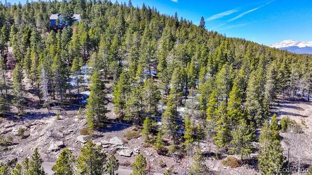 11541 Shimley Rd, Golden, CO 80403