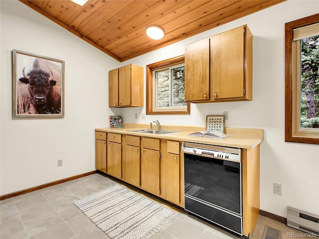 224 Yellow Pine Dr, Bailey, CO 80421 - photo 19