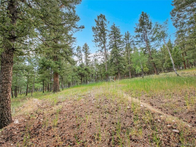 224 Yellow Pine Dr, Bailey, CO 80421 - photo 47