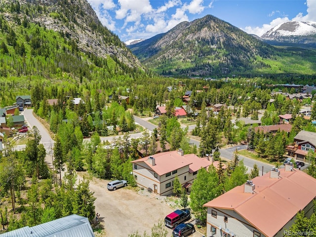 216 Pitkin St Unit 3, Frisco, CO 80443 - photo 2