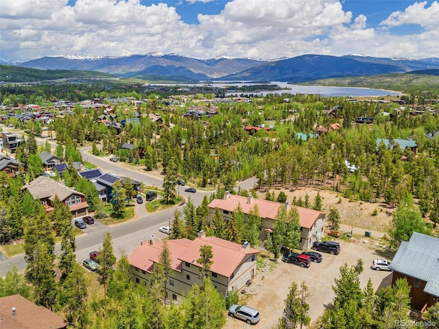 216 Pitkin St Unit 3, Frisco, CO 80443 - photo 3