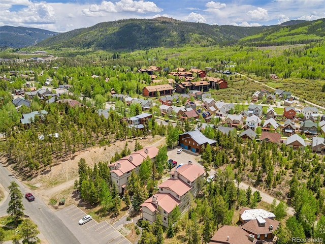 216 Pitkin St Unit 3, Frisco, CO 80443 - photo 19