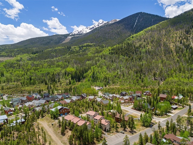 216 Pitkin St Unit 3, Frisco, CO 80443 - photo 20