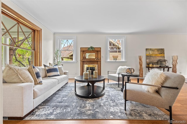 963 N Lafayette St, Denver, CO 80218 - living area featuring ornamental molding, wood finished floors, and baseboards