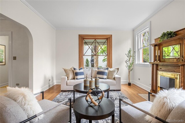 963 N Lafayette St, Denver, CO 80218 - living room with arched walkways, baseboards, ornamental molding, and light wood-style floors