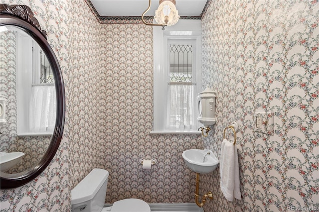963 N Lafayette St, Denver, CO 80218 - half bathroom with toilet and wallpapered walls