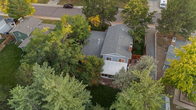 bird's eye view