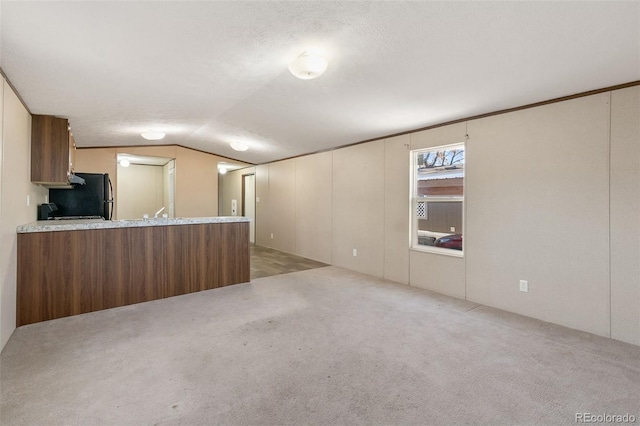 unfurnished living room featuring a textured ceiling, light colored carpet, and vaulted ceiling