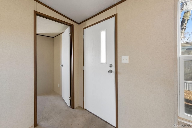 carpeted entrance foyer featuring lofted ceiling and ornamental molding