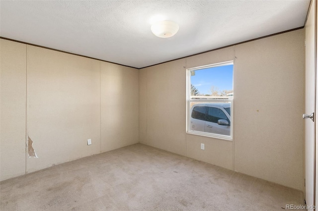 unfurnished room with a textured ceiling and light carpet