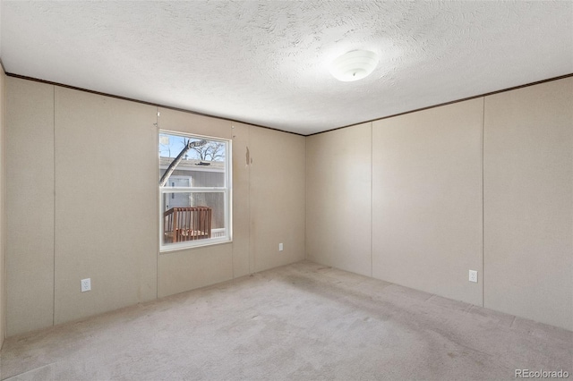 empty room featuring light colored carpet and a textured ceiling