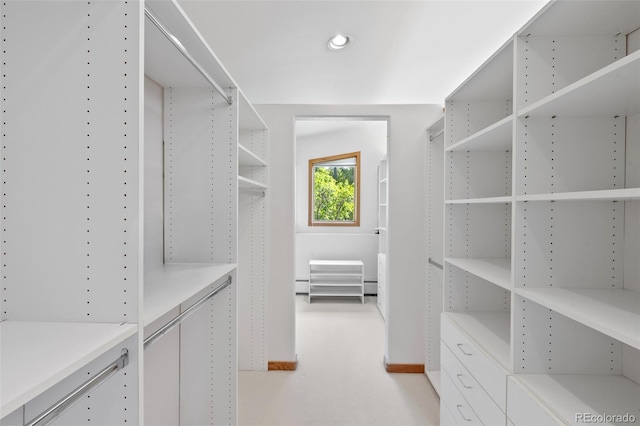 857 Pawnee Trl, Castle Rock, CO 80108 - walk in closet featuring baseboard heating