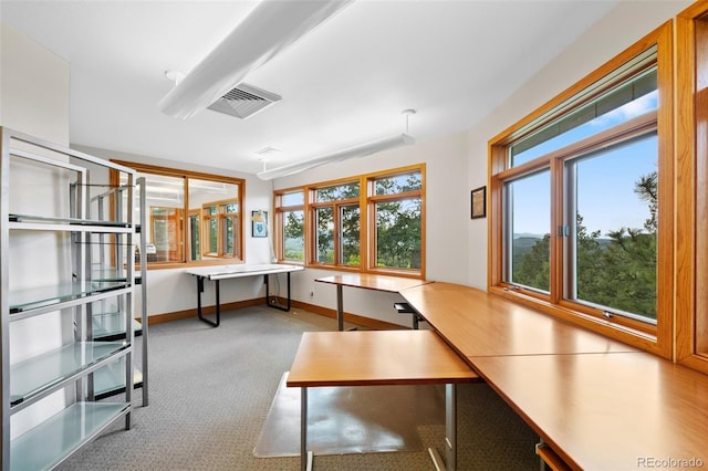 857 Pawnee Trl, Castle Rock, CO 80108 - unfurnished office with carpet flooring and baseboards