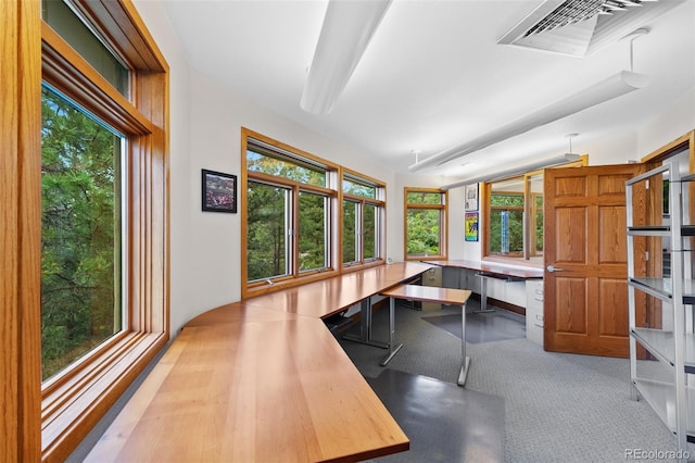 857 Pawnee Trl, Castle Rock, CO 80108 - view of unfurnished office