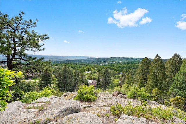 857 Pawnee Trl, Castle Rock, CO 80108 - mountain view with a forest