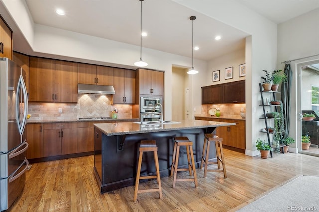 kitchen with stainless steel appliances, a sink, light wood-style floors, under cabinet range hood, and recessed lighting