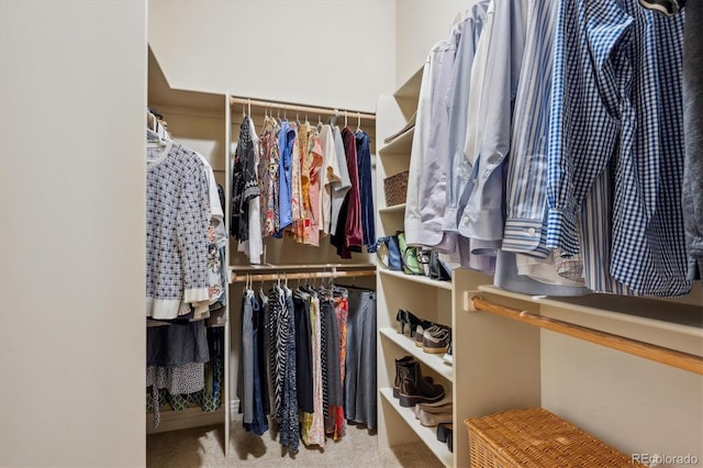 spacious closet with carpet