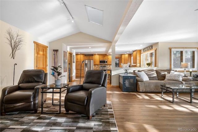 living room featuring lofted ceiling, dark hardwood / wood-style flooring, and rail lighting