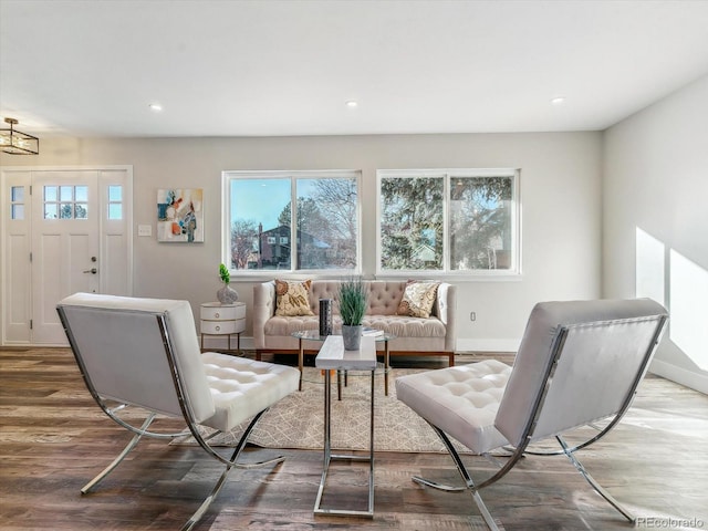 living room with hardwood / wood-style flooring