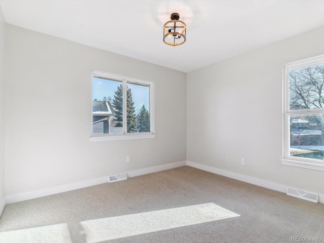 carpeted spare room with a wealth of natural light