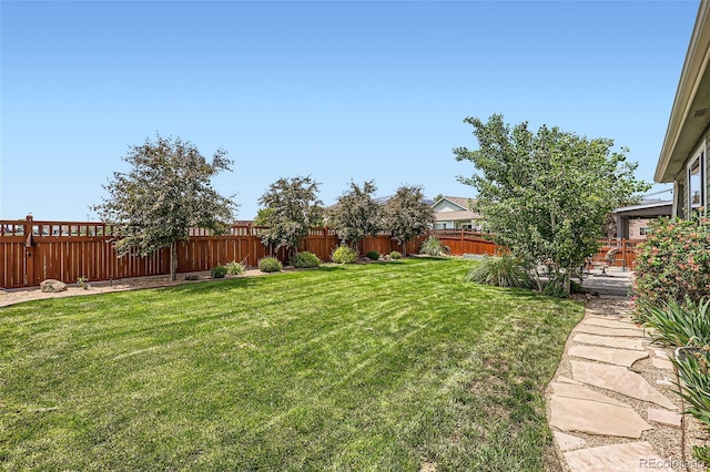 5328 Potentilla St, Brighton, CO 80601 - photo 26
