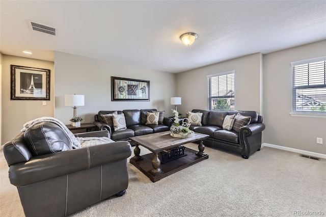 12631 Glencoe St, Thornton, CO 80241 - living area featuring plenty of natural light and light carpet