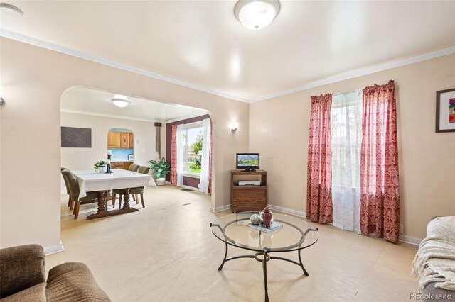 276 N 5th Ave, Brighton, CO 80601 - photo 6