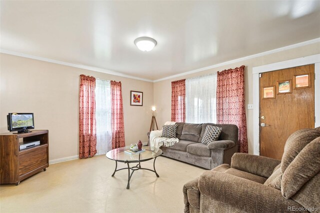 276 N 5th Ave, Brighton, CO 80601 - photo 8