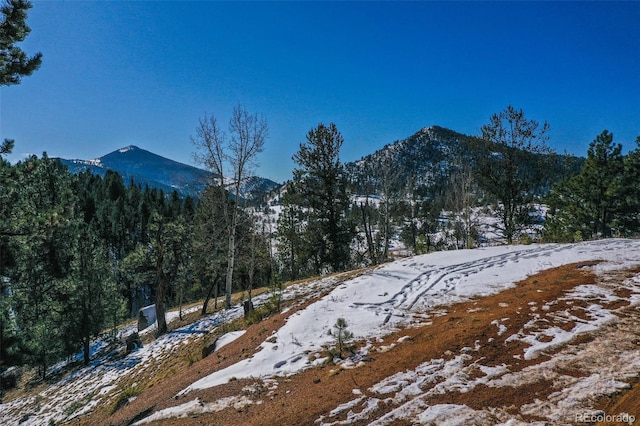 456 Idlewild Dr, Cripple Creek CO, 80813 land for sale