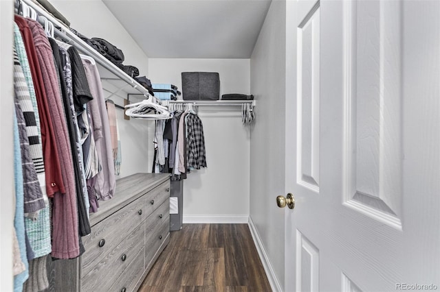 walk in closet with dark hardwood / wood-style flooring