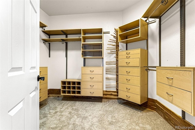 walk in closet with dark carpet