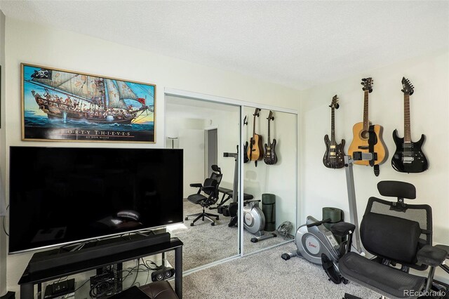 13 Nome Way Unit A, Aurora, CO 80012 - workout room featuring carpet flooring