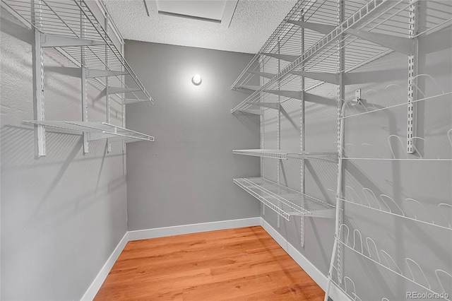 walk in closet with wood finished floors