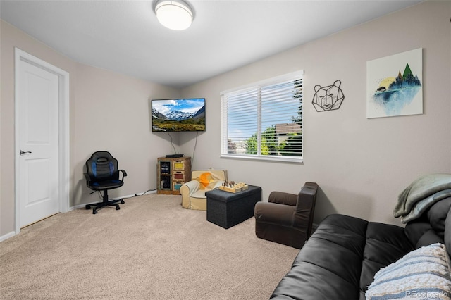 2066 Amber Ct, Erie, CO 80516 - rec room featuring carpet and baseboards