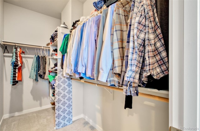 5477 Passport Vw, Colorado Springs, CO 80922 - spacious closet with carpet