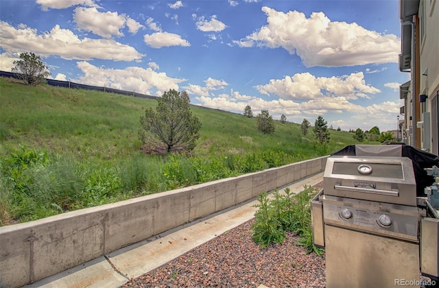 5477 Passport Vw, Colorado Springs, CO 80922 - view of yard