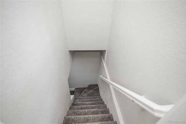 3690 Leyden St, Denver, CO 80207 - photo 19